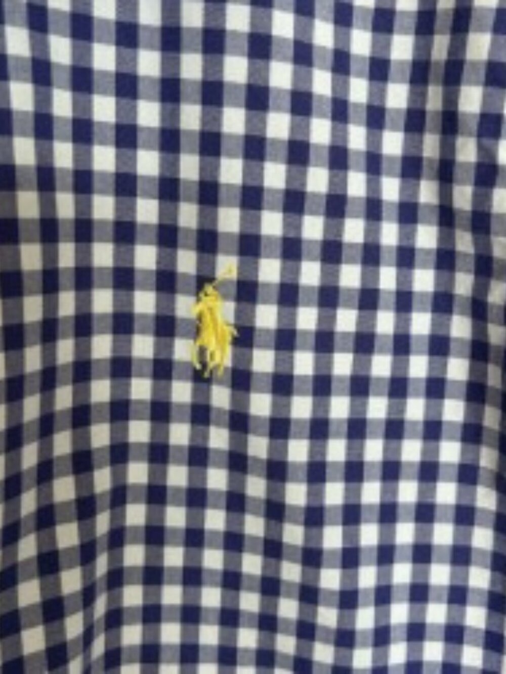 Ralph Lauren Sport Blue & White Gingham Button Front Shirt 14 - Picture 3 of 5